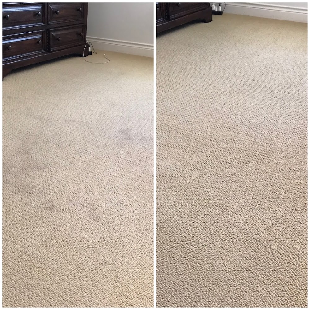 Better Than Ever Carpet Care