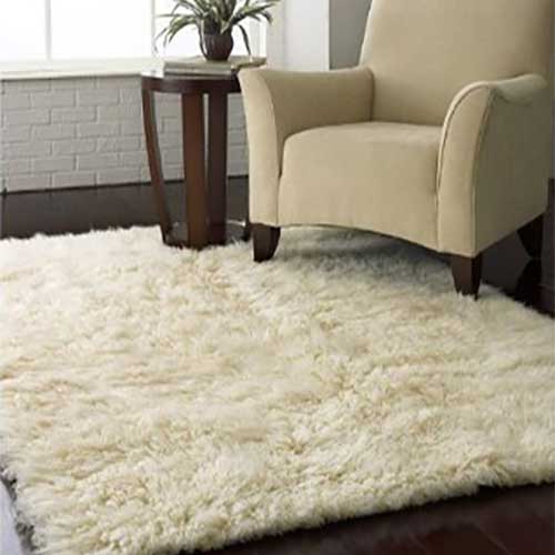 Carpet Cleaning Rosenberg TX