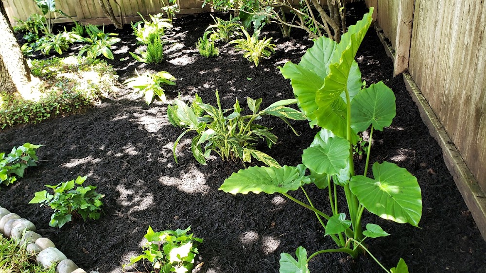 Cervantes Lawn and Landscaping
