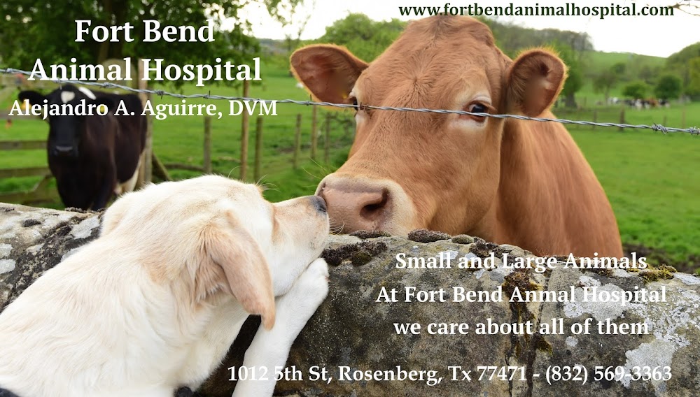 Fort Bend Animal Hospital