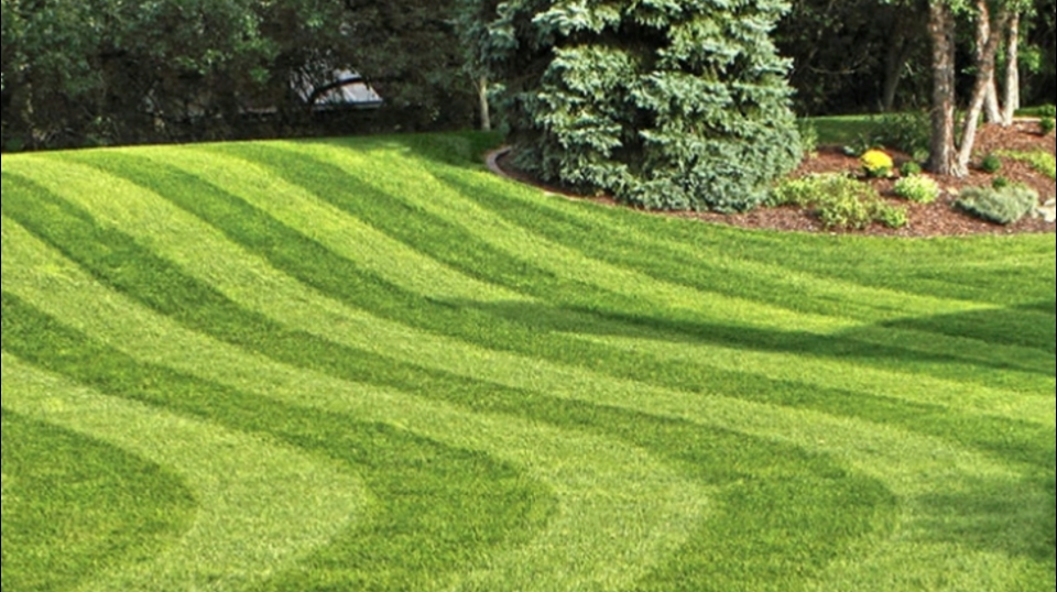 GARCIA’S TREE SERVICE AND LAWN CARE