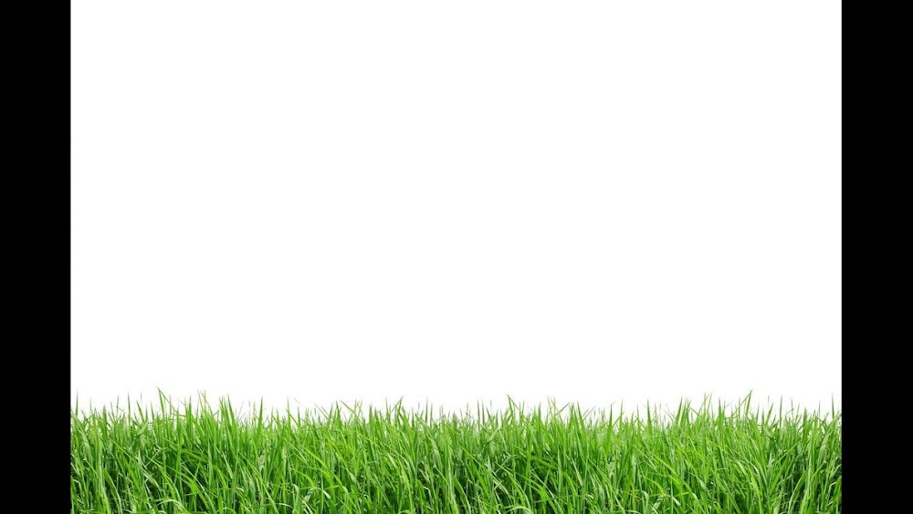 Greenyard LLC
