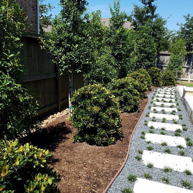 JMAS Texas Lawn Care