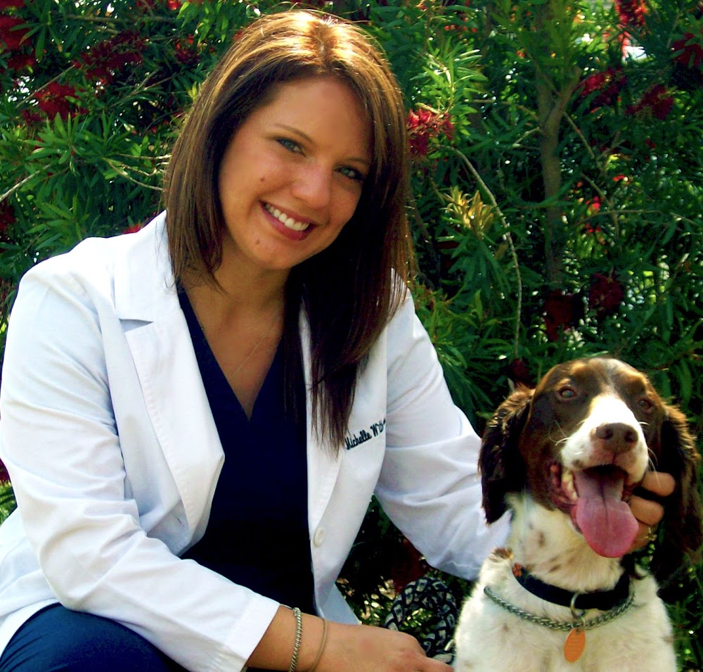 Long Meadow Veterinary Clinic