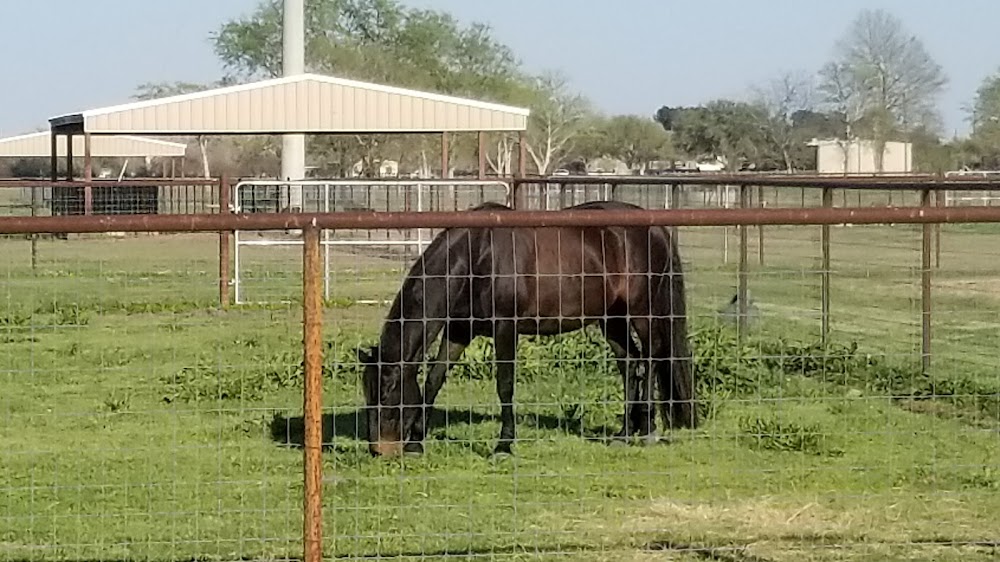 Needville Animal Hospital