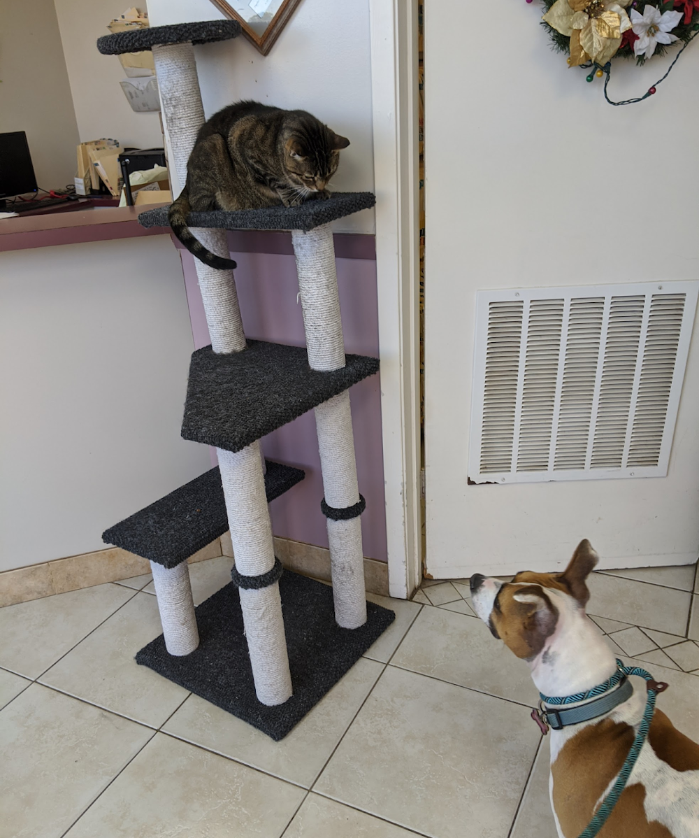 Parkglen Animal Clinic