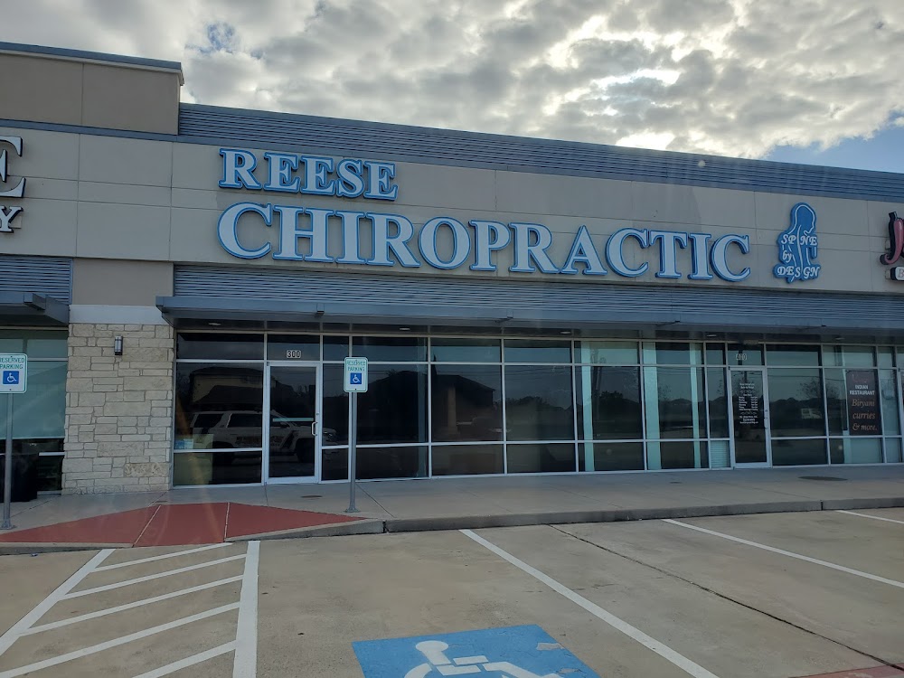 Reese Chiropractic Spine by Design