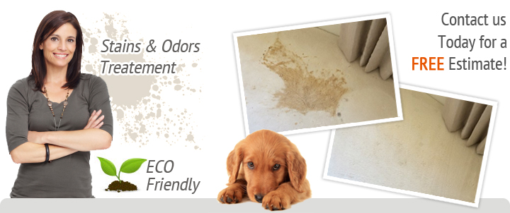 Richmond Carpet Cleaning