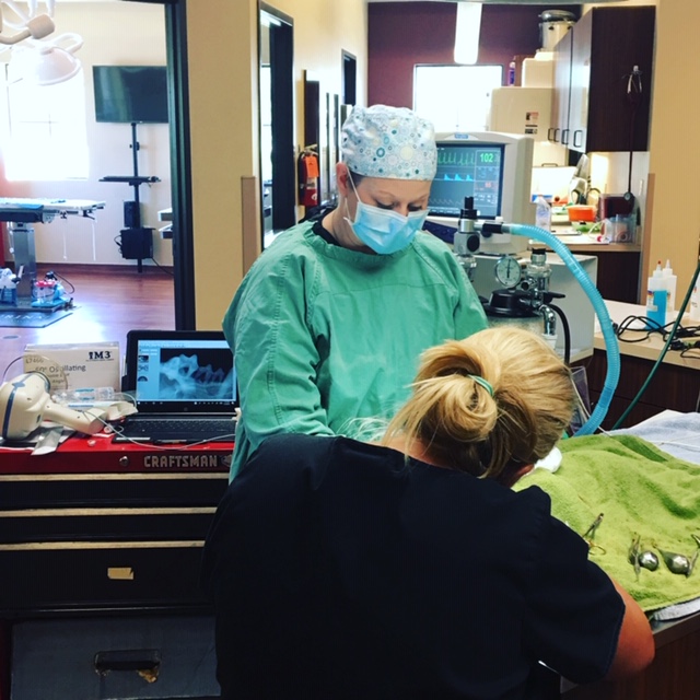 Sienna Plantation Animal Hospital