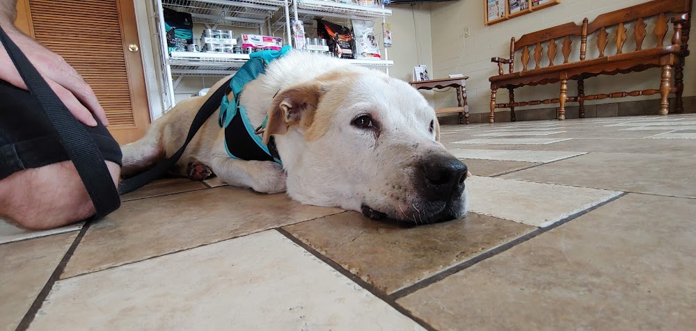 Stafford Veterinary Clinic