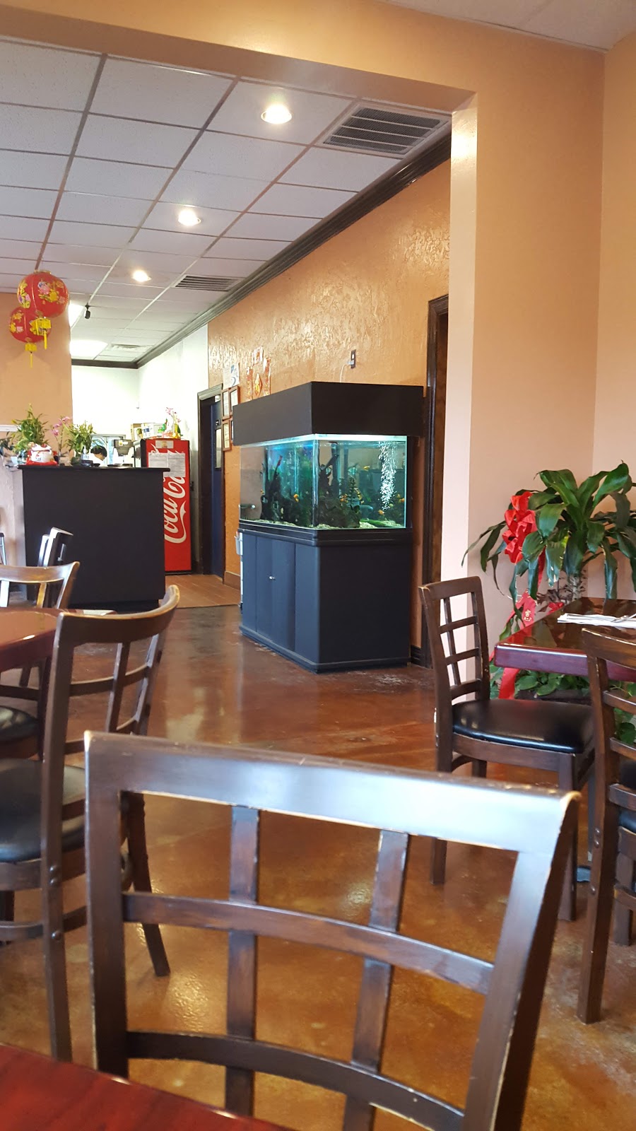 Star Asian Cafe