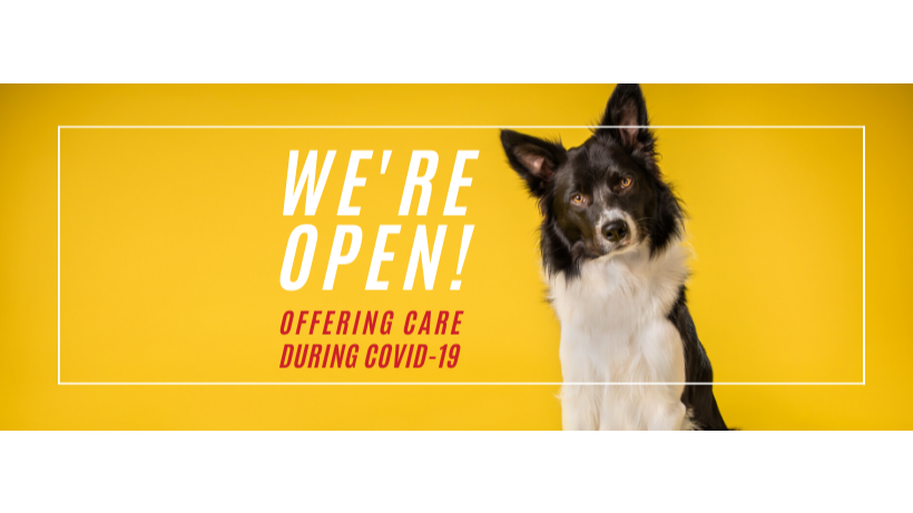 Sugar Land Veterinary Specialists & 24 Hour Emergency Care
