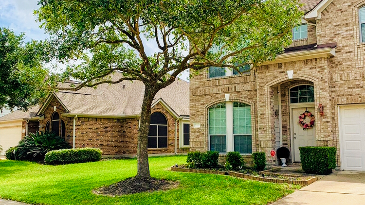 TEXAS GREEN (•Tree trimming •Tree removal •Stump Grinding •Christmas Lights Installation)