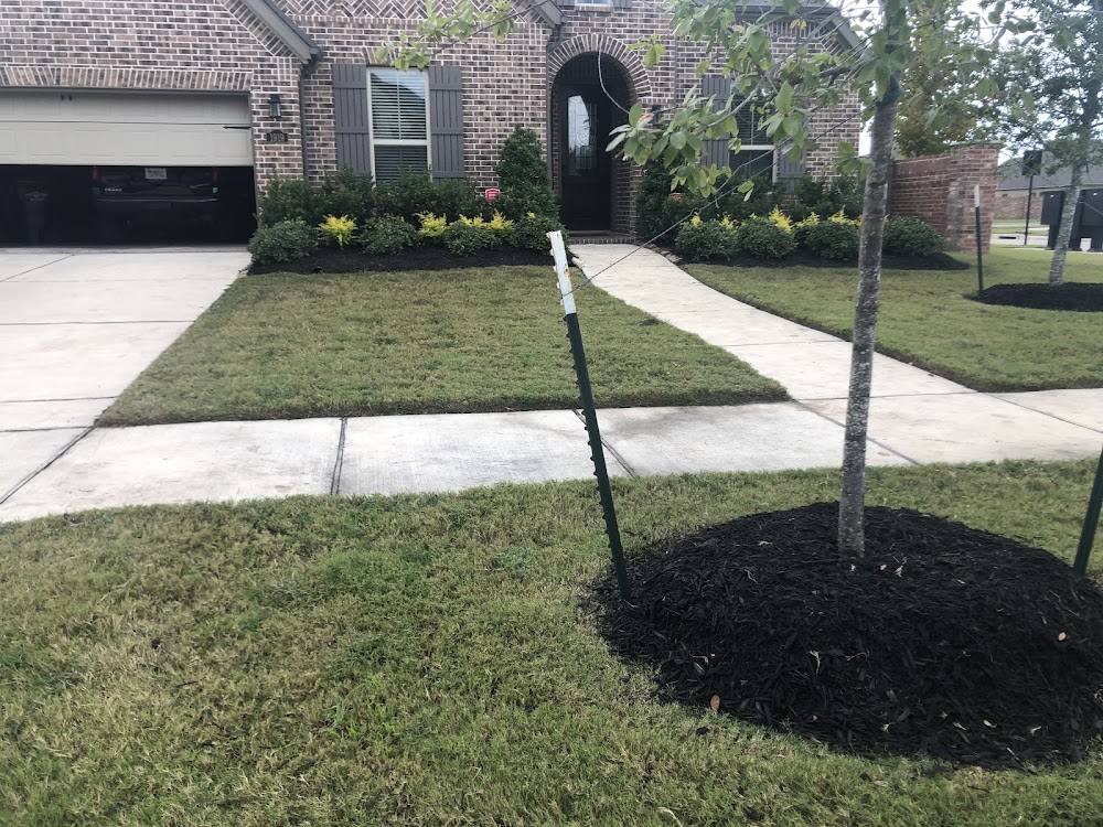 Tree of Life Landscaping