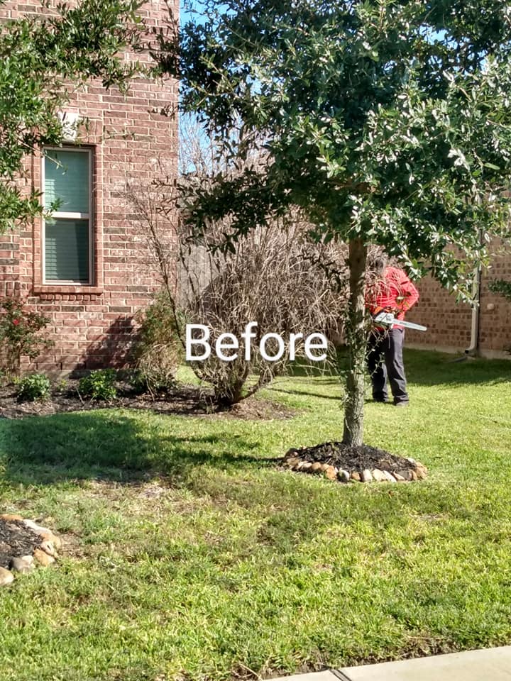 ZENA’S LAWN SERVICE